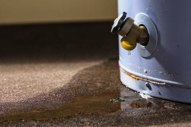 Water damage restoration process in MO