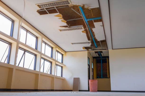 Best 24/7 water damage repair  in Buckner, MO