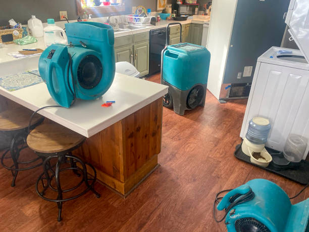 Best Flooded house restoration  in Buckner, MO