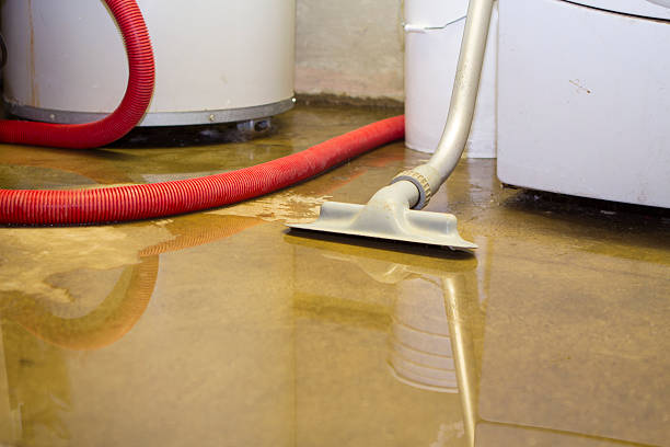 Best Water damage restoration process  in Buckner, MO