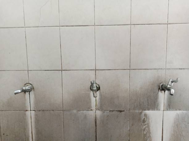 Best Basement water damage restoration  in Buckner, MO