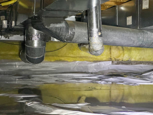 Best Mold removal after water damage  in Buckner, MO