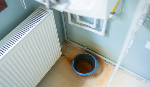 Best Flood restoration services  in Buckner, MO