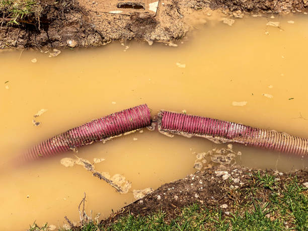 Best Emergency water damage restoration  in Buckner, MO
