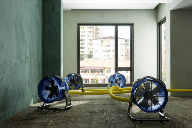 Best Fire Damage Restoration  in Buckner, MO