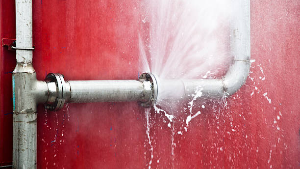 Best Water damage restoration near me  in Buckner, MO