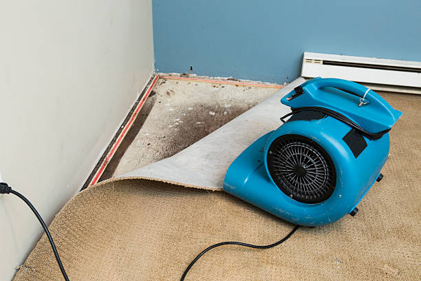 Professional Water damage restoration in MO